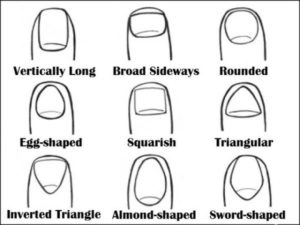 Shape of your nails