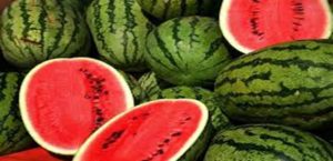 watermelon