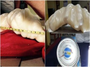 largest pear of the world