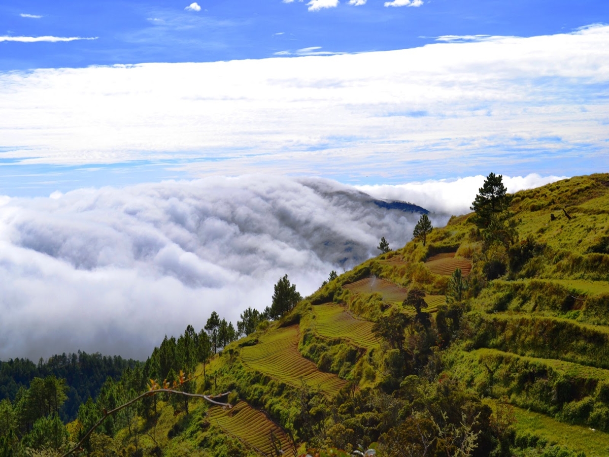 Mt. Pulag