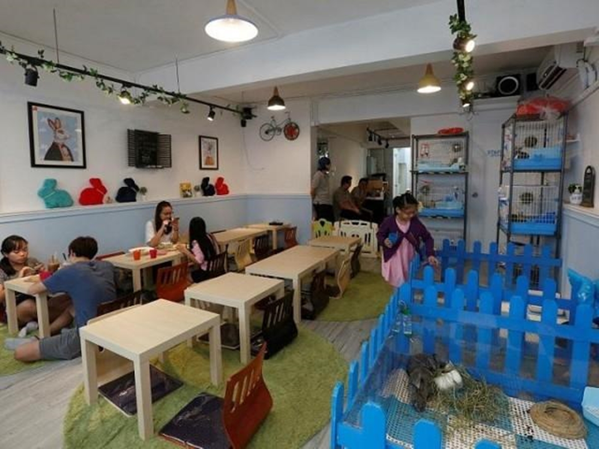 First Rabbit Café