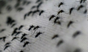 september-20-photo-6