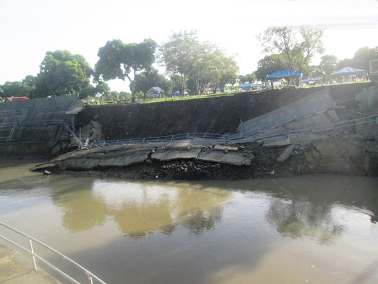 Pet Project Collapses