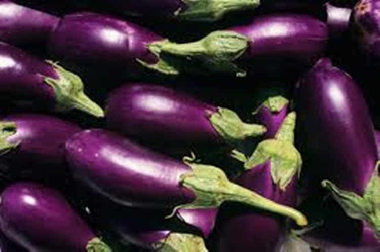 Eggplant
