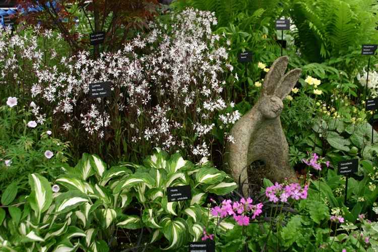 Natural Mosquito Repellents