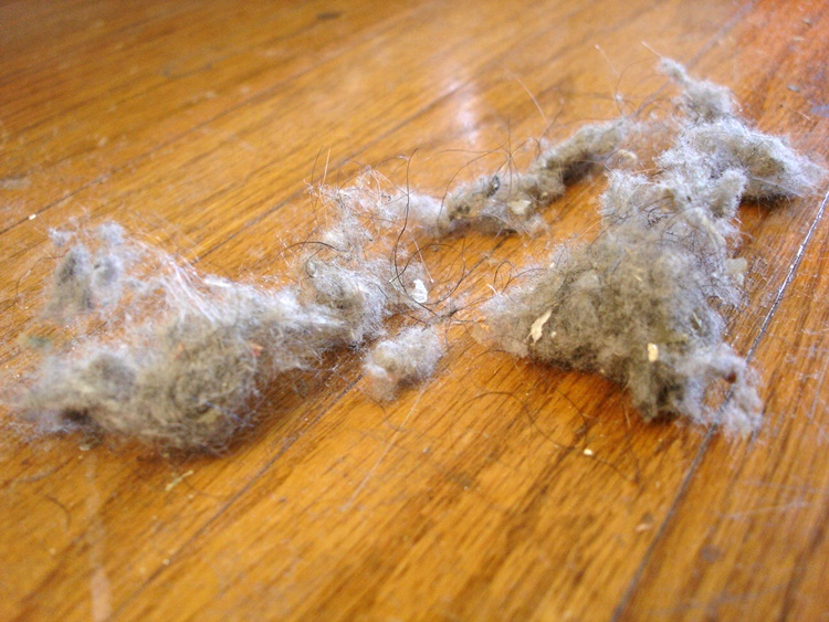 fire prevention tips dust bunnies