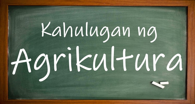 Kahulugan ng Agrikultura