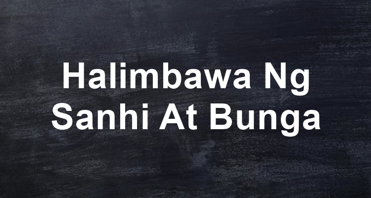 Halimbawa Ng Sanhi At Bunga