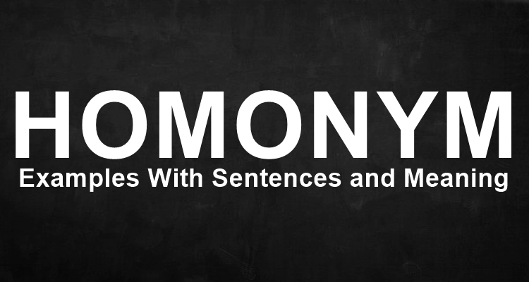 Homonym Examples