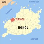 International Observers