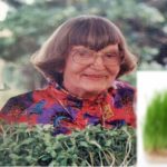 wheat grass grey hair