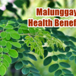 malunggay health benefits