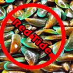 red tide alert western samar