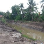 Creek Rehabilitation