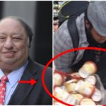 Viral International report