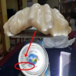 World's Largest Pearl