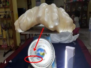 World's Largest Pearl