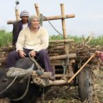 Aga Muhlach Spotted In Silay City, Negros Occidental