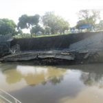 Pet Project Collapses