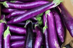 Eggplant