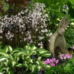 Natural Mosquito Repellents