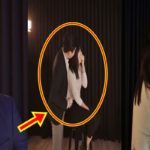 Dani Barretto Engagement Video