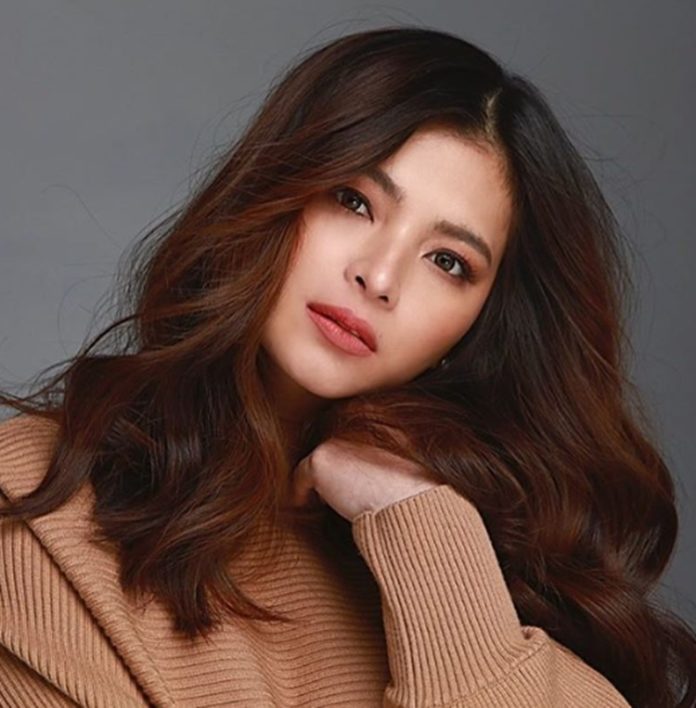 Angel Locsin-Luis Manzano Breakup Was Due To This Reason?
