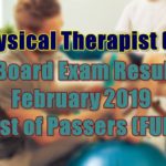 physical therapist
