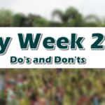 Holy Week 2019 Do's and Don'ts