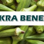 Okra Benefits For Body