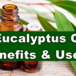 Eucalyptus Oil Benefits