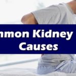 Kidney Stone Causes Common