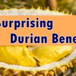 Durian Benefits