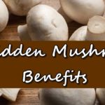 Mushroom Benefits
