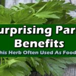 Parsley Benefits