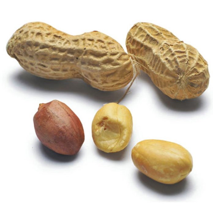 Peanuts Health Benefits Nutrition Facts and Benefits Of Peanuts