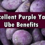 Ube Benefits