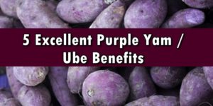 Ube Benefits