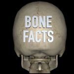bone facts
