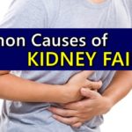 Kidney Failure Causes