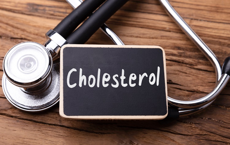 Good Cholesterol Bad Cholesterol Things You Need To Know   Good Bad Cholesterol 