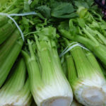 Eating Celery