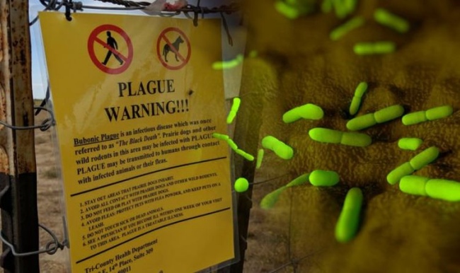 Village Isolated In China After Bubonic Plague Death