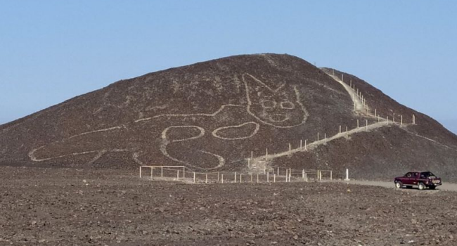 2000-Year-Old Cat Discovered In Ancient Heritage Site
