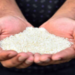Soaring Rice Price