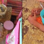 Students Food Lunchbox