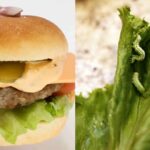 Larva In Burger