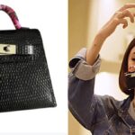 Heart Evangelista Smallest Hermes Bag