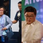 Leila De Lima Freedom