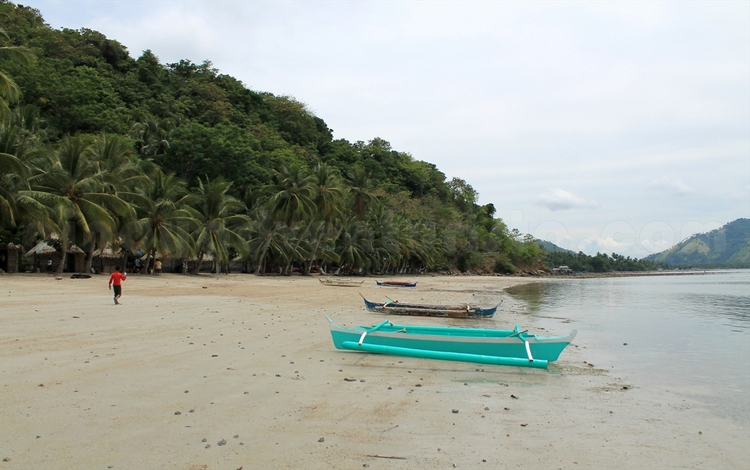 Davao Occidental
